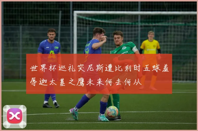 世界杯巡礼突尼斯遭比利时五球羞辱迦太基之鹰未来何去何从