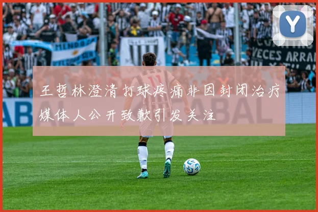 王哲林澄清打球疼痛非因封闭治疗媒体人公开致歉引发关注